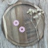 Pampilles artisanales : Marguerite - ARLY Creations
